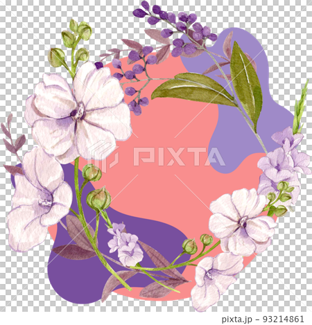 Flower herb watercolor png 93214861