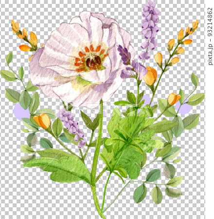 Flower herb watercolor png Flower herb watercolor png 93214862
