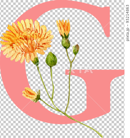 Flower herb alphabet A-Z watercolor png 93214863