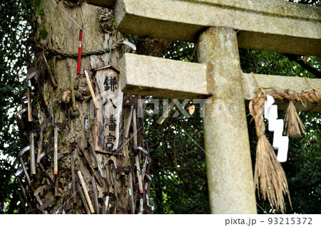 鎌八幡宮(丹生酒殿神社) 【和歌山県伊都郡かつらぎ町三谷】 鎌八幡宮(丹生酒殿神社) 【和歌山県伊都郡かつらぎ町三谷】 93215372
