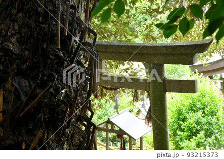 鎌八幡宮(丹生酒殿神社)　【和歌山県伊都郡かつらぎ町三谷】 93215373