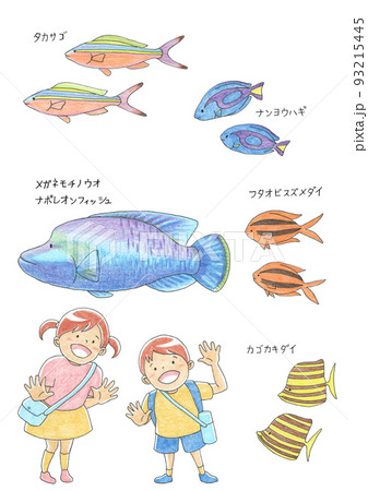 水族館で魚を見る男の子と女の子 93215445