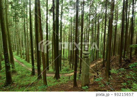 高野山町石道の百三十三町石( 小都知ノ峯登り口) 【和歌山県伊都郡かつらぎ町】 高野山町石道の百三十三町石( 小都知ノ峯登り口) 【和歌山県伊都郡かつらぎ町】 93215657