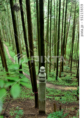高野山町石道の百三十三町石( 小都知ノ峯登り口) 【和歌山県伊都郡かつらぎ町】 高野山町石道の百三十三町石( 小都知ノ峯登り口) 【和歌山県伊都郡かつらぎ町】 93215659