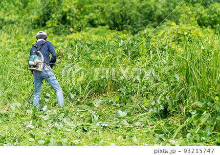 夏の草刈り・芝刈り 93215747
