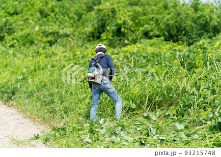 夏の草刈り・芝刈り 93215748