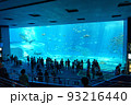 美ら海水族館 93216440