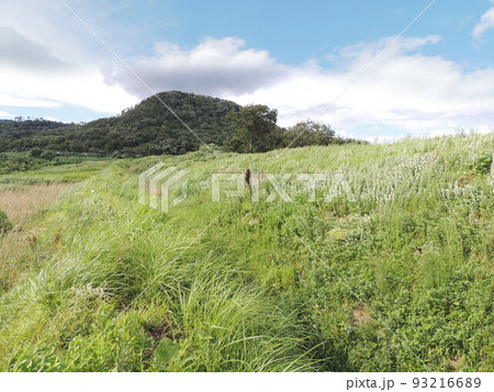 阿津賀志山防塁 阿津賀志山防塁 93216689