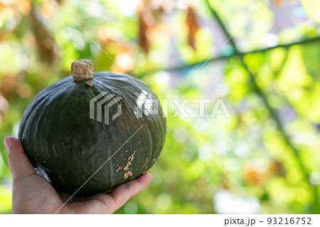 夏野菜　物撮り　南瓜 93216752