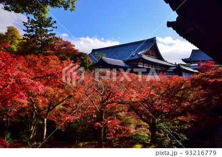 秋の京都 紅葉の東福寺 秋の京都 紅葉の東福寺 93216779