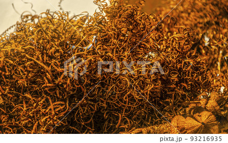 Orange rusty steel twisted spiral from the lathe shavings. Metal shaving - industrial garbage Orange rusty steel twisted spiral from the lathe shavings. Metal shaving - industrial garbage 93216935