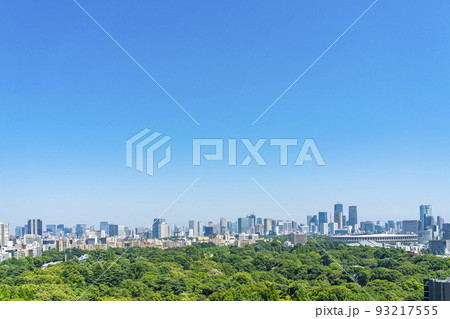 【東京都】新宿から見える新宿御苑と都市風景 【東京都】新宿から見える新宿御苑と都市風景 93217555