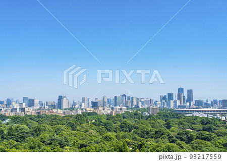 【東京都】新宿から見える新宿御苑と都市風景 【東京都】新宿から見える新宿御苑と都市風景 93217559