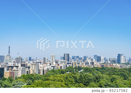 【東京都】新宿から見える新宿御苑と都市風景 93217562