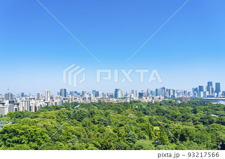 【東京都】新宿から見える新宿御苑と都市風景 【東京都】新宿から見える新宿御苑と都市風景 93217566