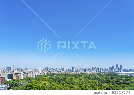 【東京都】新宿から見える新宿御苑と都市風景 93217572