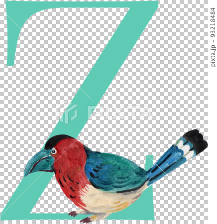 Tropical wildlife alphabet A-Z watercolor png Tropical wildlife alphabet A-Z watercolor png 93218484