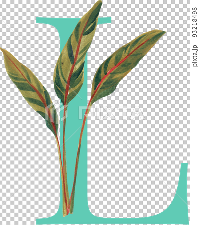 Tropical wildlife alphabet A-Z watercolor png 93218498