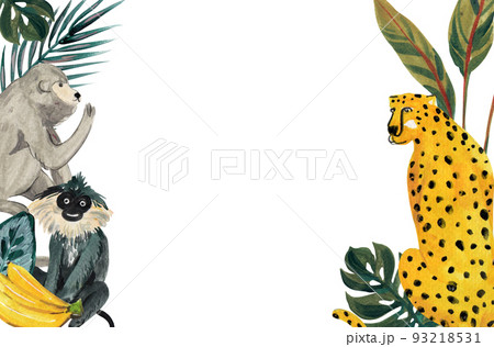 Tropical wildlife frame watercolor png 93218531