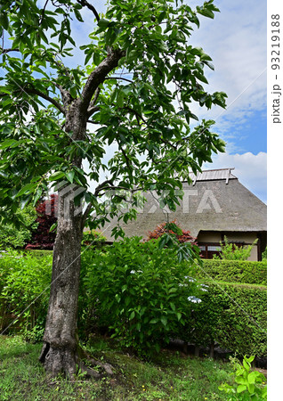 旧梅田家住宅 国重要伝統的建造物群保存地区 青森県弘前市 旧梅田家住宅 国重要伝統的建造物群保存地区 青森県弘前市 93219188