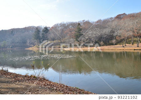 北山公園　2021-12-12　＃5 93221102