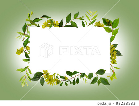 Fresh twigs with green leaves and small flowers in a border for white card ion green 93223533