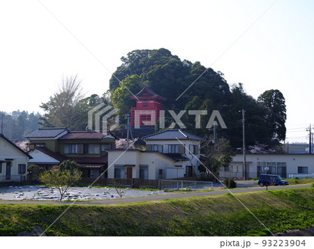 成東の春 成東の春 93223904