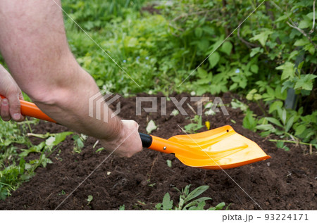 Human hands with shovel digging garden bed or farm. Farming, gardening, agriculture and people concept 93224171