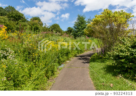 山の上庭園　群馬県中之条町 93224313