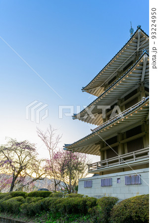 浄泉寺の枝垂れ桜「観光名所：平安絵巻のような華麗な風景」宮崎県西臼杵郡五ヶ瀬町 93224950