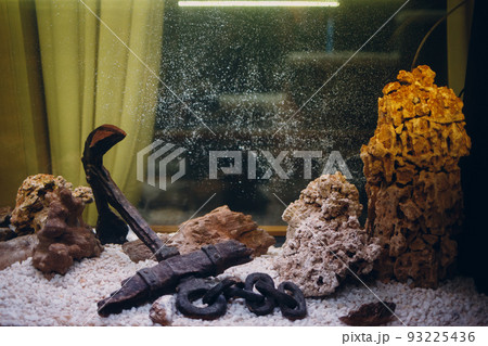large empty aquarium with air bubbles anchor and rocks. large empty aquarium with air bubbles anchor and rocks. 93225436