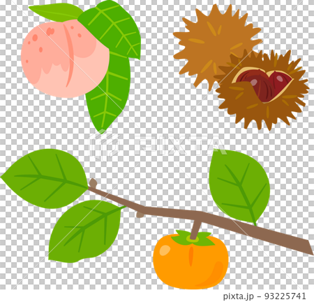 Peaches, chestnuts, persimmons 93225741