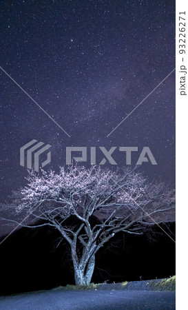一本桜と天の川 一本桜と天の川 93226271