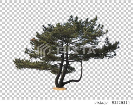 樹, 車, 背景 樹, 車, 背景 93226314