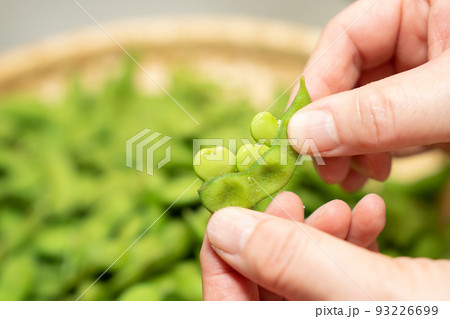 だだちゃ豆〜さやから豆が出た光景 93226699