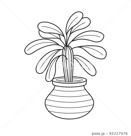 Vector outline house plant in pot. Indoor home plant with leaves. Cacti for home and interior. Botanical doodle linear black and white illustration isolated on white background. 93227076