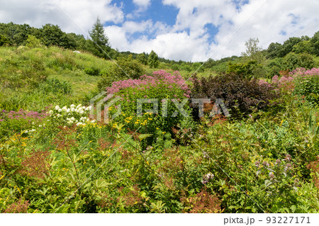 山の上庭園 群馬県中之条町 山の上庭園 群馬県中之条町 93227171