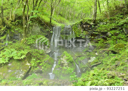 【群馬県嬬恋村】たまだれの滝 【群馬県嬬恋村】たまだれの滝 93227251