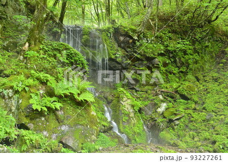 【群馬県嬬恋村】たまだれの滝 93227261