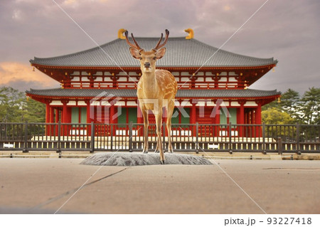 奈良の鹿 93227418
