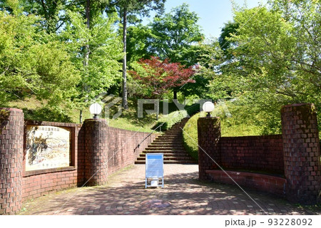 山中湖文学の森公園の山中湖情報創造館へ続くプロムナードと新緑 山中湖文学の森公園の山中湖情報創造館へ続くプロムナードと新緑 93228092