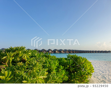 Bungalow in the Maldives 93229450