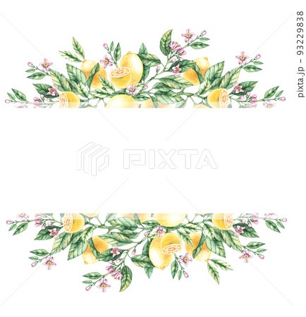 Watercolor frame of lemons on a white background 93229838