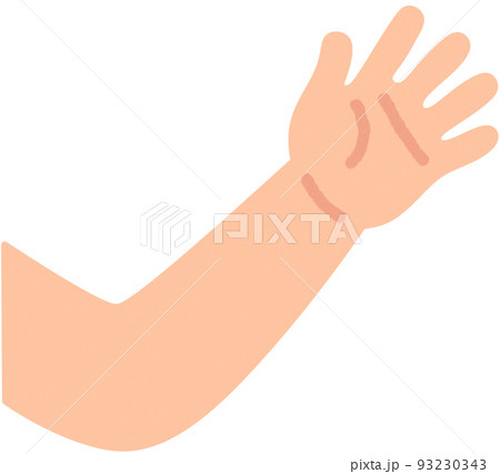 腕(内側) 93230343