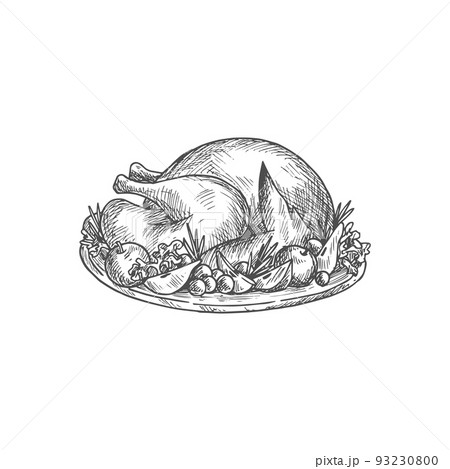 Cooked and plated turkey with garnish isolated sketch. Vector hand drawn plate with roasted poultry bird Cooked and plated turkey with garnish isolated sketch. Vector hand drawn plate with roasted poultry bird 93230800