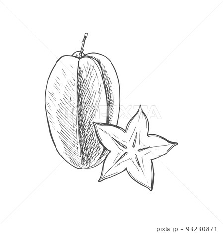 Carambola fruit isolate starfruit sketch whole and cut.of exotic tropical fruit 93230871