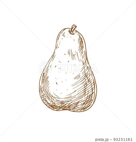 Premium Vector | Pear fruit outline icon, drawing monochrome illustration.  healthy nutrition, organic food, vegetarian product.