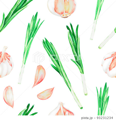 Garlic and green onions. Watercolor vintage illustration.Isolated on a white background.For design. Garlic and green onions. Watercolor vintage illustration.Isolated on a white background.For design. 93231234