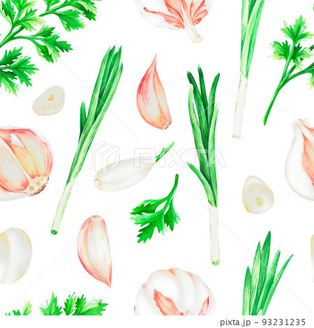 Garlic, cilantro and green onions.Watercolor illustration.Isolated on a white background.For design. Garlic, cilantro and green onions.Watercolor illustration.Isolated on a white background.For design. 93231235
