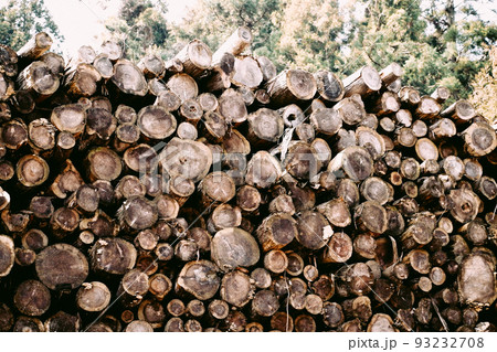 サステナブルな木材資源の集積 93232708